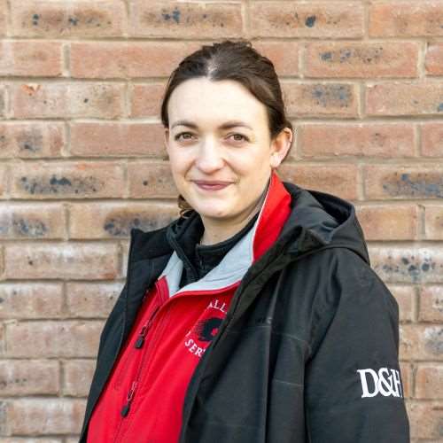 Susie Senatore - Stud Groom